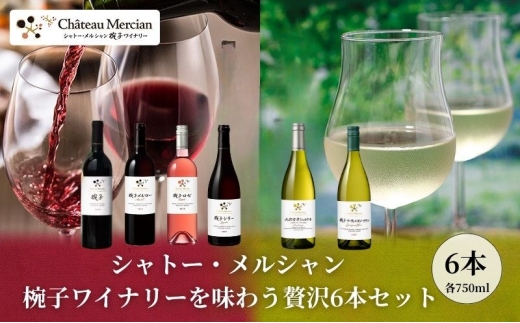 シャトー・メルシャン 椀子ワイナリーを味わう6本セット ワイン 赤ワイン 白ワイン ロゼワイン お酒 酒 アルコール 長野 長野県 上田市