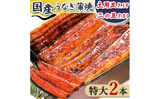 浜名湖・うなぎのたなかの長蒲焼2本セット!