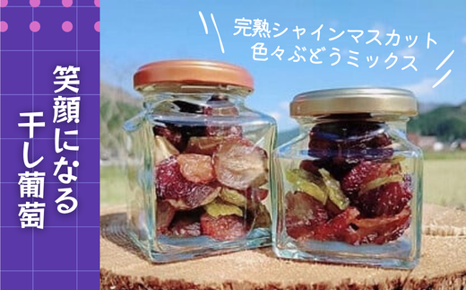 笑顔になる干し葡萄[完熟シャインマスカット][色々ぶどうミックス]瓶詰セット(H1-2)