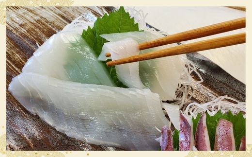 白イカは身は白く柔らかく、甘味がとてもあります。
噛むほど甘みが増してきます。