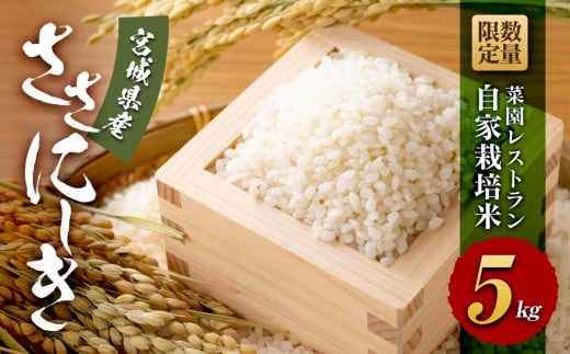 【令和6年産】数量限定 菜園レストラン「野の風」自家栽培米 ササニシキ5kg