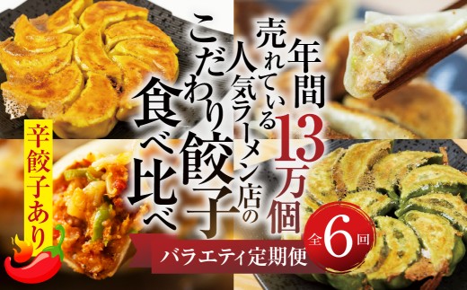 【定期便6回】餃子バラエティ（辛餃子あり）人気餃子 食べ比べ ぎふ絶品餃子 飛騨牛 餃子 もとす織部 モーニング餃子 宇宙餃子 唐辛子餃子 冷凍餃子 業務用 ぎょうざ ギョウザ 冷凍 グルメ お取り寄せ グルメ 冷凍食品 国産素材 肉 牛肉 豚肉 ジューシー もちもち [mt1863] 