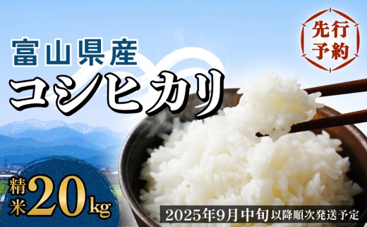 ＜先行予約＞富山県産 コシヒカリ 20kg 精米 ＜2025年9月中旬以降順次発送予定＞ 富山県 米 氷見市 コシヒカリ