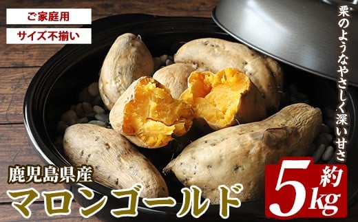 鹿児島県産 マロンゴールド 約5kg(JAいぶすき/010-1785) さつまいも 鹿児島 家庭用 サイズ 不揃い 芋 焼き芋 天ぷら