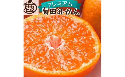 [先行予約]プレミアム有田みかん 5kg+250g(傷み補償分)11月より発送(完熟)[光センサー選果]※北海道・沖縄・離島配送不可 / みかん ミカン くだもの 果物 柑橘 フルーツ 和歌山 有田みかん [ikd114C]