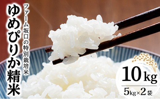 令和7年産!ファーム坂口の特別栽培米 ゆめぴりか精米 10kg (5kg×2袋) 1720226 - 北海道岩見沢市