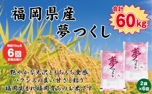 【定期便全6回】【令和7年産新米予約】【食味鑑定士厳選】福岡県産 夢つくし10kg (5kg×2袋) 合計 60kg 2192289 - 福岡県大川市