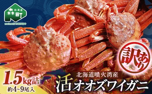 【訳あり】北海道噴火湾産 活オオズワイガニ1.5kg ＜道産ネットミツハシ＞ かに カニ 蟹 ガニ がに 森町 ふるさと納税 北海道 ずわいがに mr1-0601-5
