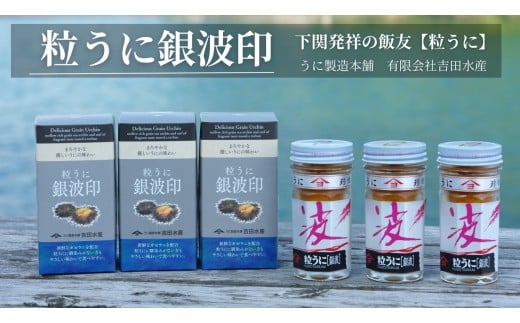 粒 うに ウニ 雲丹 ガゼウニ 銀波印 瓶うに 55g 3本 セット 常温 ギフト 贈答品 下関市 山口 890482 - 山口県下関市