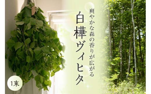 [先行受付]北海道芽室町産「白樺ヴィヒタ」1束 me055-001c-3