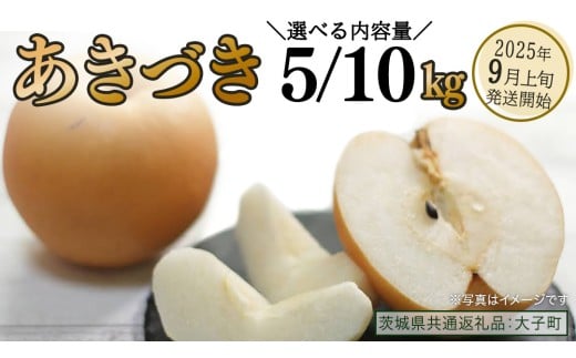 [ 選べる 内容量 ] あきづき 約5kg / 約10kg [2025年9月上旬発送開始](茨城県共通返礼品:大子町) 秋月 梨 なし 果物 くだもの フルーツ