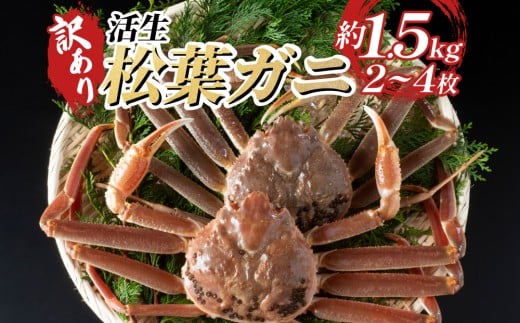 【22010-2】訳あり松葉がに（生） 鳥取 岩美 日本海 松葉ガニ かに ズワイガニ 592324 - 鳥取県岩美町