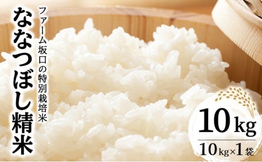令和7年産!ファーム坂口の特別栽培米 ななつぼし精米 10kg (10kg×1袋) 1720208 - 北海道岩見沢市