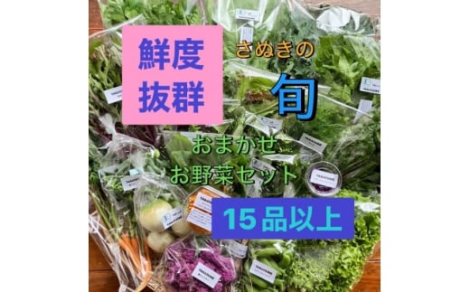 旬を楽しむTAGATAMEのおまかせお野菜セット(15品以上)【1632116】