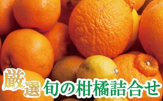 ＜1月より発送＞厳選 柑橘詰合せ 1kg+250g（傷み補償分）【有田の春みかん詰め合わせ・フルーツ詰め合せ・オレンジつめあわせ】【光センサー選別】 / 果物 くだもの フルーツ 柑橘 和歌山【ikd183B】
