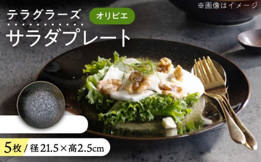 【美濃焼】 テラグラーズ サラダプレート オリビエ 5客揃 瑞浪市 / アワサカ 食器 皿 プレート [AZAD025] 1436619 - 岐阜県瑞浪市