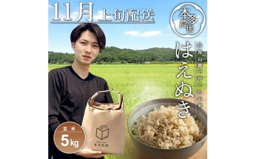 SA2678　11月上旬配送／令和7年産【玄米】はえぬき　5kg 農家直送 HO