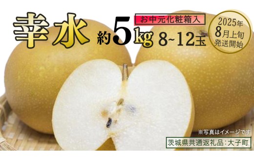 [ お中元 化粧箱入り] 幸水 約5kg (8〜12玉)[2025年8月上旬発送開始](茨城県共通返礼品:大子町) 梨 なし 果物 くだもの フルーツ