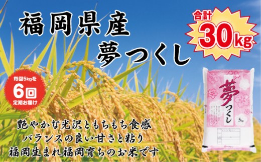 【定期便全6回】【令和7年産新米予約】【食味鑑定士厳選】福岡県産 夢つくし5kg (5kg×1袋) 合計 30kg 2192288 - 福岡県大川市