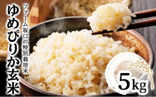 令和6年産!ファーム坂口の特別栽培米 ゆめぴりか玄米 5kg