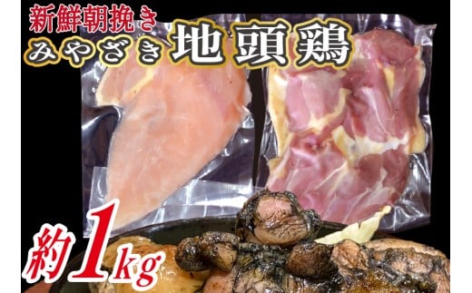 【宮崎ブランド地鶏】朝挽き ”みやざき地頭鶏” もも・むねおためしセット 約1kg（国産 鶏 鶏肉 地頭鶏 モモ ムネ 焼肉 BBQ）