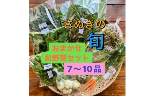 旬を楽しむTAGATAMEのおまかせお野菜セット(7～10品)【1632093】