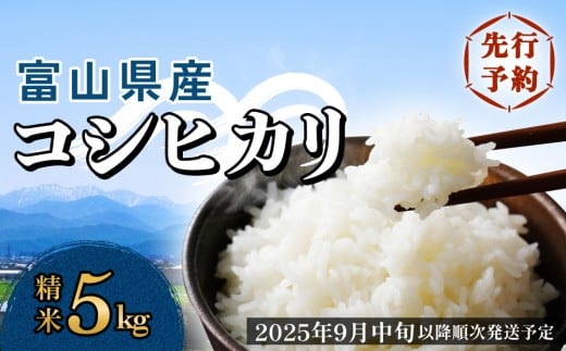 [先行予約]富山県産 コシヒカリ 5kg 精米 [2025年9月中旬以降順次発送予定] 富山県 米 氷見市 コシヒカリ
