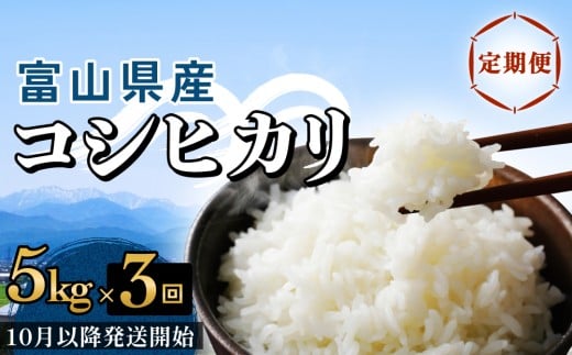 [3回定期便]富山県産 コシヒカリ 5kg [10月以降発送開始] 富山県 氷見市 米 コシヒカリ 定期便