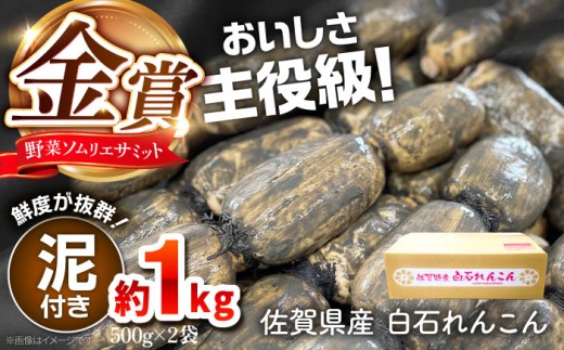 【令和7年10月以降発送】＜野菜ソムリエサミット金賞受賞＞松尾青果のこだわり白石れんこん 約1kg（500g×2袋）（泥付き）【松尾青果】佐賀県産 農家直送 直送 白石れんこん レンコン 蓮根 泥付きれんこん 根菜 野菜 白石町産 高品質 九州 佐賀県 白石町 [IBD015] 2088562 - 佐賀県白石町