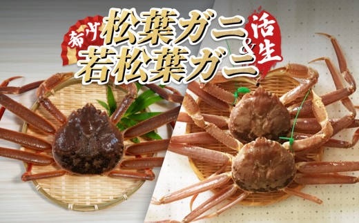 【22009-2】松葉がに&若松葉がにセット(生) 583039 - 鳥取県岩美町