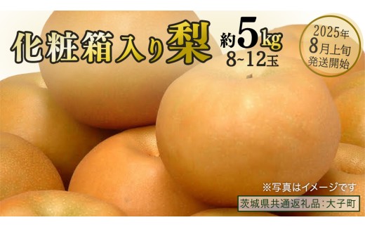 【化粧箱入り】梨 約5kg (8～12玉)【2025年8月上旬発送開始】(茨城県共通返礼品：大子町)