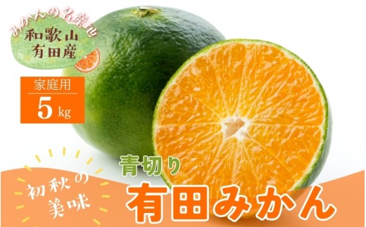 【先行予約】【2025年9月中旬~10月中旬頃発送予定】【初秋の美味】【農家直送】有田育ちのご家庭用青切り有田みかん 5kg【ard045B】 765421 - 和歌山県串本町