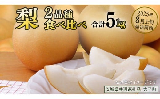 【食べ比べ】 梨 2品種 合計 約5kg 【2025年8月上旬発送開始】 (茨城県共通返礼品：大子町) なし 果物 くだもの フルーツ おまかせ 旬