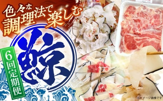 【6回定期便】調理用部位定期便（煮しめ鯨・炙り用脂筋肉スライス・特上ゆかけ鯨（畝））【中島(鯨)商店】[OBR019] 2178897 - 長崎県川棚町