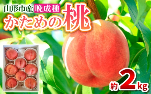 かための桃 秀 晩成種 約2kg (4～9玉)[伊達白桃 さくら白桃] FY25-296
