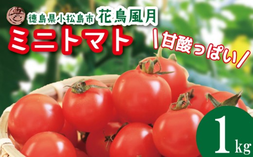 【2026年5月発送】 ミニトマト 1kg 花鳥風月 先行予約 水耕栽培 爽やか 甘い 野菜 やさい 国産 産地直送 数量限定 旬 フレッシュトマト 生野菜 新鮮 ソース 調味料 ケチャップ サラダ 美容 新鮮 健康 お取り寄せ グルメ おすすめ 人気 1万円以下 10000円以下 徳島県 小松島市 2192775 - 徳島県小松島市
