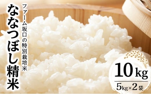 令和7年産!ファーム坂口の特別栽培米 ななつぼし精米 10kg (5kg×2袋) 1720206 - 北海道岩見沢市