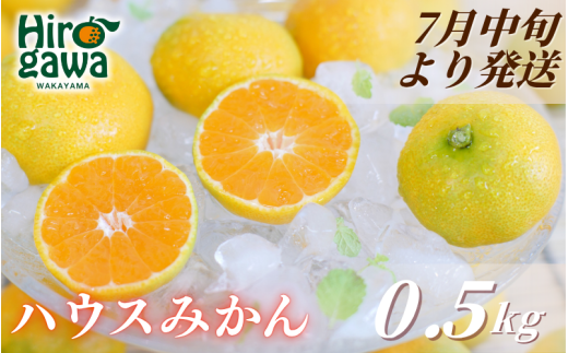 ハウスみかん 0.5kg+250g(傷み補償) / 温室みかん 有田みかん 甘い 和歌山 柑橘 ※7月中旬～8月下旬に順次発送 ※北海道・沖縄・離島への配送不可 【ikd002-p-0d5】 2192536 - 和歌山県広川町