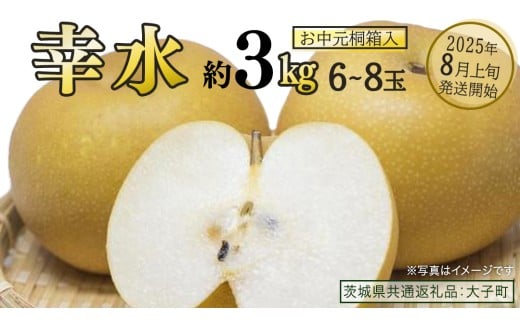 [ お中元 桐箱入り ] 幸水 約3kg (6〜8玉)[2025年8月上旬発送開始](茨城県共通返礼品:大子町) 梨 なし 果物 くだもの フルーツ