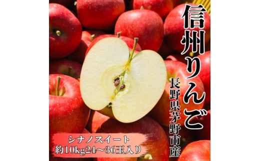 ＜2025年先行受付＞長野直送!信州八ヶ岳のりんごシナノスイート約10kg(24～36玉)蓼科高原【1605263】 2031415 - 長野県茅野市