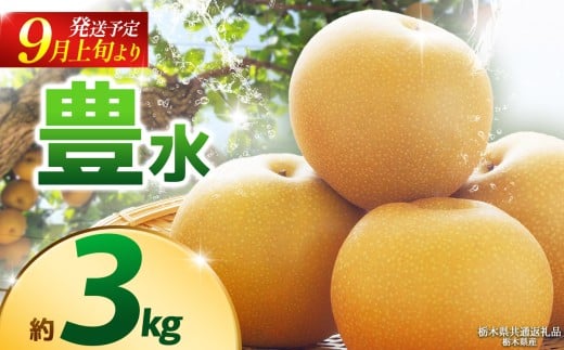 【栃木県共通返礼品】【2025年9月先行予約】豊水(高糖度) 約3kg |豊水 梨 なし ナシ 新品種 先行予約 大粒 新鮮 甘い 美味しい 果物 くだもの フルーツ ふるーつ 共通返礼品 フルーツ デザート 栃木県 那珂川町