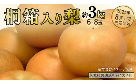 【桐箱入り】梨 約3kg (6～8玉) 【2025年8月上旬発送開始】(茨城県共通返礼品：大子町) なし 果物 くだもの フルーツ おまかせ 旬