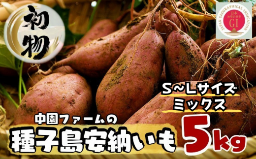 < 初物  8月下旬～発送  > 中園ファーム 種子島 安納いも ( 生芋 ) 本場 安納 地域産 Mix 5kg　NFN626【250pt】 // 早掘り 安納芋発祥の地 安納地域 本場 安納芋