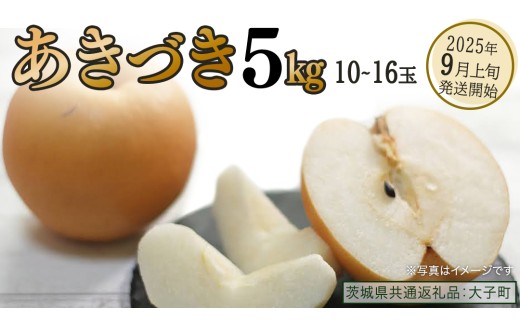 あきづき 約5kg (10〜16個)[2025年9月上旬発送開始](茨城県共通返礼品:大子町) 秋月 梨 なし 果物 くだもの フルーツ