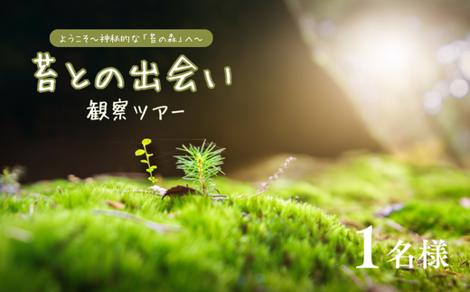 苔（コケ）との出会い　観察ツアー　１名［SE-101-01］