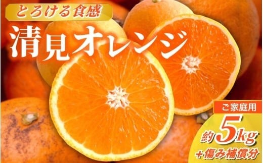 <2026年2月より発送>家庭用 清見オレンジ 5kg+250g(傷み補償分)【光センサー食頃出荷】【樹上完熟きよみオレンジ・清見タンゴール・清美】【わけあり・訳あり】 / オレンジ 清見 おれんじ みかん 柑橘 有田 産地直送 くだもの 果物 フルーツ 柑橘類 和歌山 由良町【ikd166C】 485623 - 和歌山県由良町