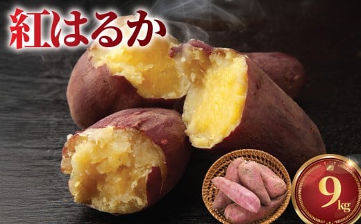 さつまいも 9kg 紅はるか 10月上旬発送 訳あり 訳アリ 訳有 サツマイモ べにはるか 神奈川県産 甘い スイーツ 甘芋 スイートポテト sweet potato 蜜 蜜芋 芋 旬 秋の味覚 おやつ ダイエット 先行予約 数量限定 産地直送 農家直送 有機栽培 簡単調理 八〇八 神奈川 湘南 藤沢 江の島 2194915 - 神奈川県藤沢市