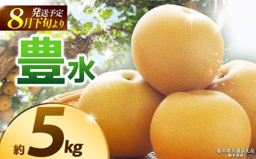 【栃木県共通返礼品】【2025年8月先行予約】豊水 約5kg |豊水 梨 なし ナシ 新品種 先行予約 大粒 新鮮 甘い 美味しい 果物 くだもの フルーツ ふるーつ 共通返礼品 フルーツ デザート 栃木県 那珂川町