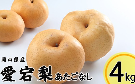 あたご梨 3～6玉 約4kg 【2025年11月下旬～12月下旬迄発送予定】 愛宕梨 梨 なし 和梨 果物 果実 フルーツ 大玉 岡山県 美咲町 常温 2192421 - 岡山県美咲町