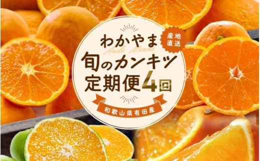 【全4回】和歌山旬のカンキツ定期便【S】3・5・9・11月発送（ご家庭用）※北海道・沖縄県・離島への配送不可 / 春の柑橘 初夏の柑橘 青切り 有田みかん 完熟有田みかん フルーツ くだもの 果物【ard-tkb905】 2191466 - 和歌山県紀美野町